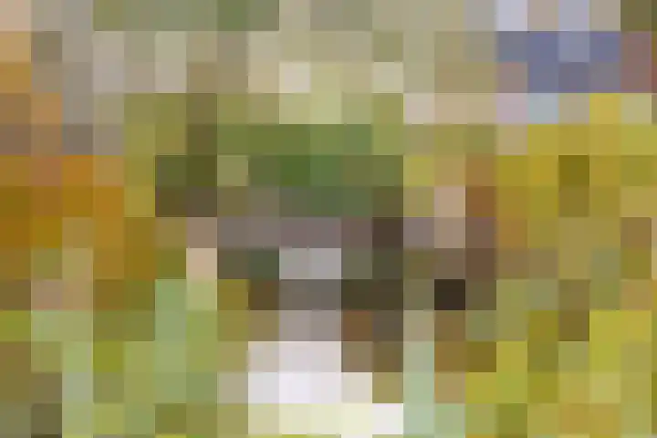 Beetswende 11 Hillegom thumbnail 39