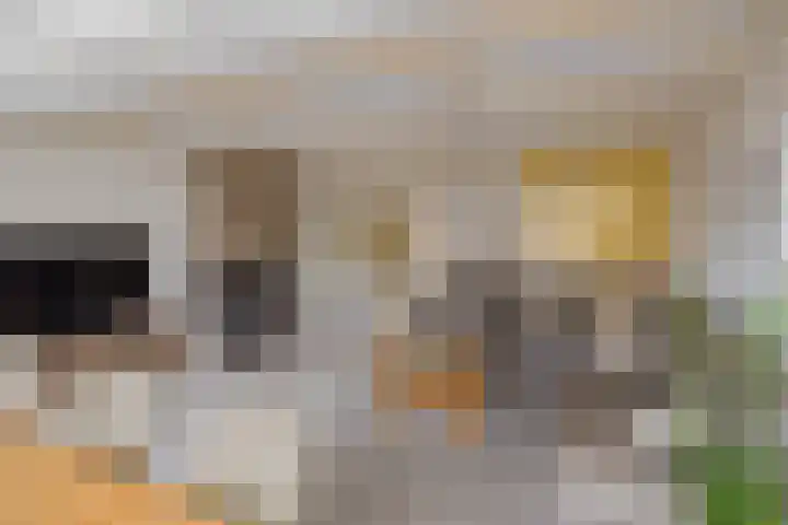 Beetswende 11 Hillegom thumbnail 8