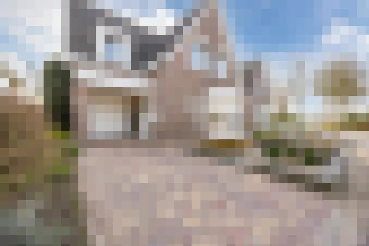 Beetwortelstraat 4 Stampersgat thumbnail 10
