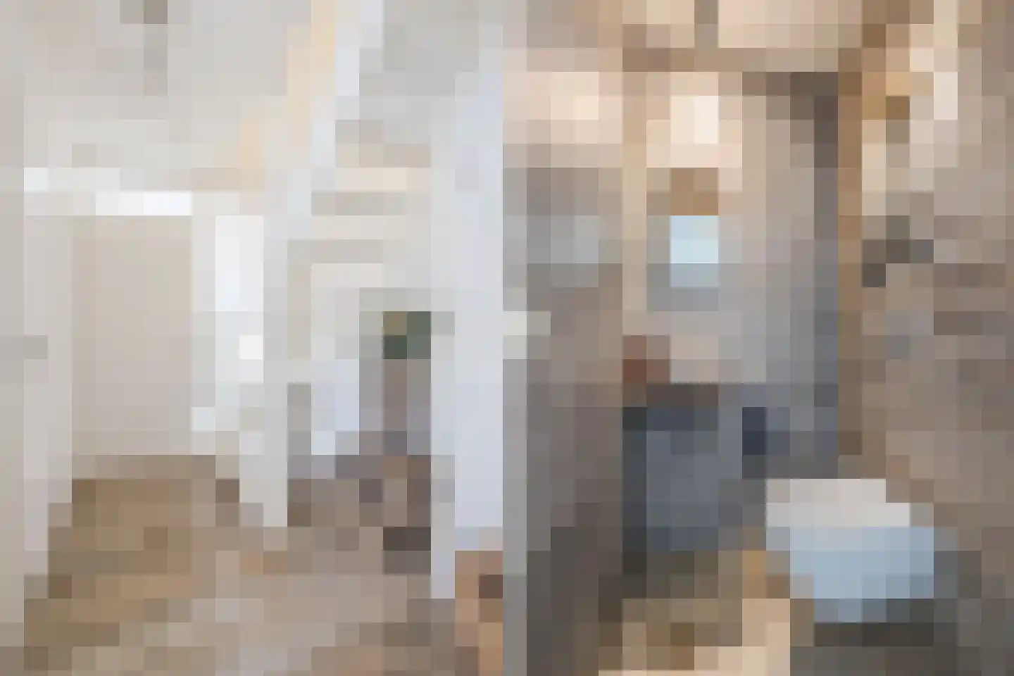 Beetwortelstraat 4 Stampersgat thumbnail 13