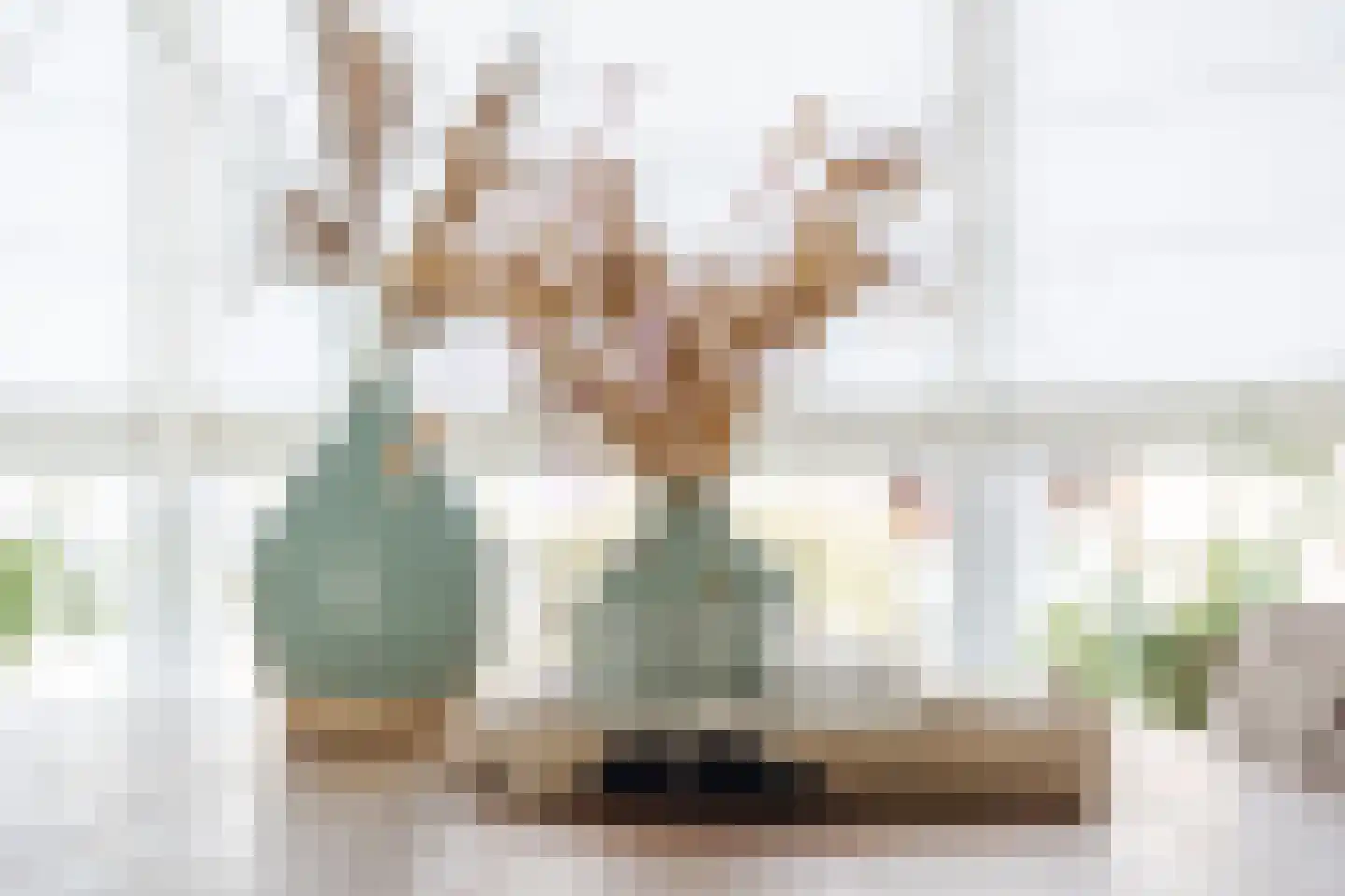 Beetwortelstraat 4 Stampersgat thumbnail 27