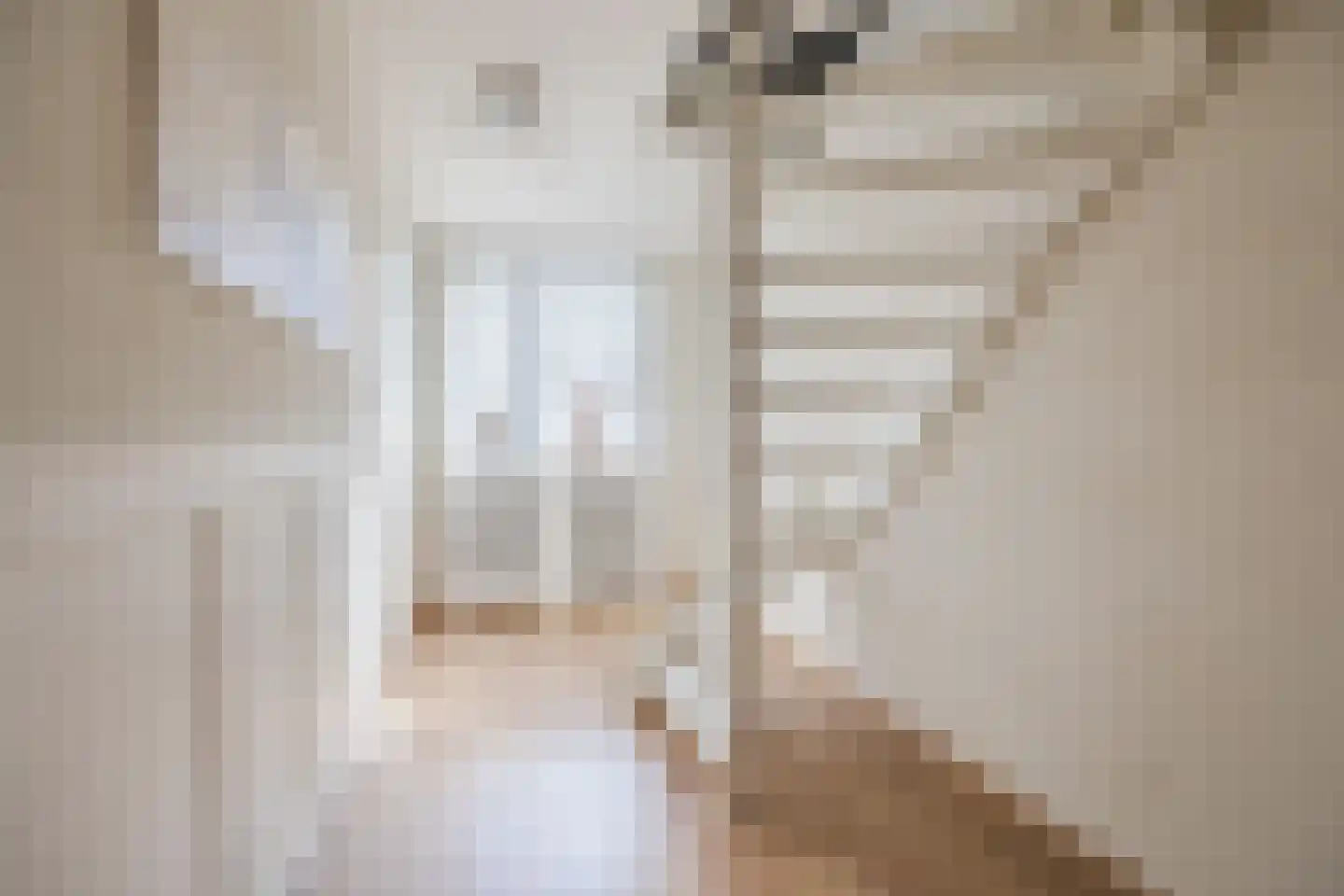 Beetwortelstraat 4 Stampersgat thumbnail 34