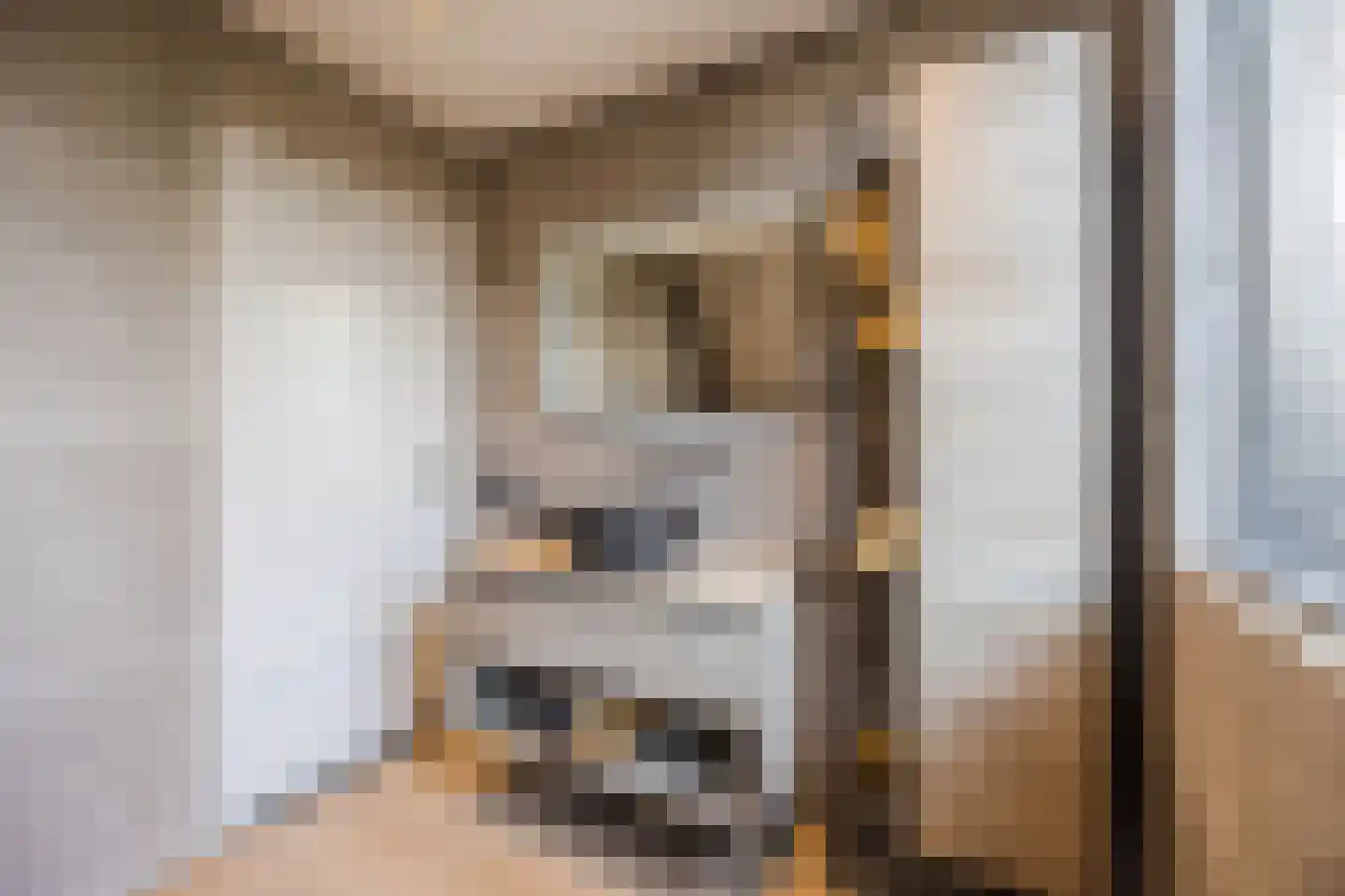 Beetwortelstraat 4 Stampersgat thumbnail 49