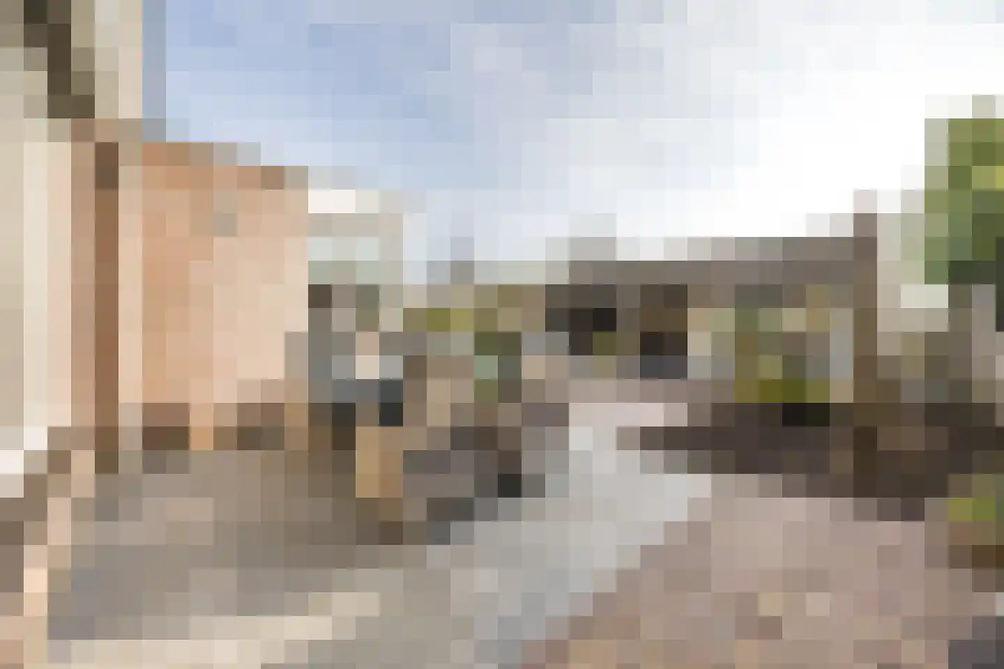 Beetwortelstraat 4 Stampersgat thumbnail 5