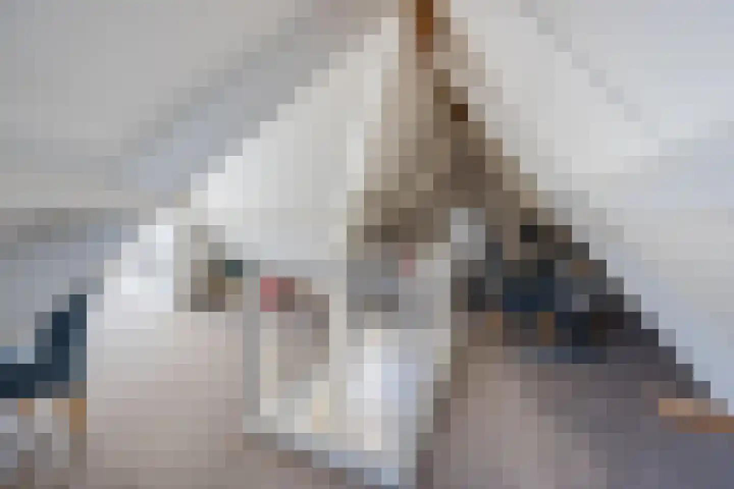 Beetwortelstraat 4 Stampersgat thumbnail 52