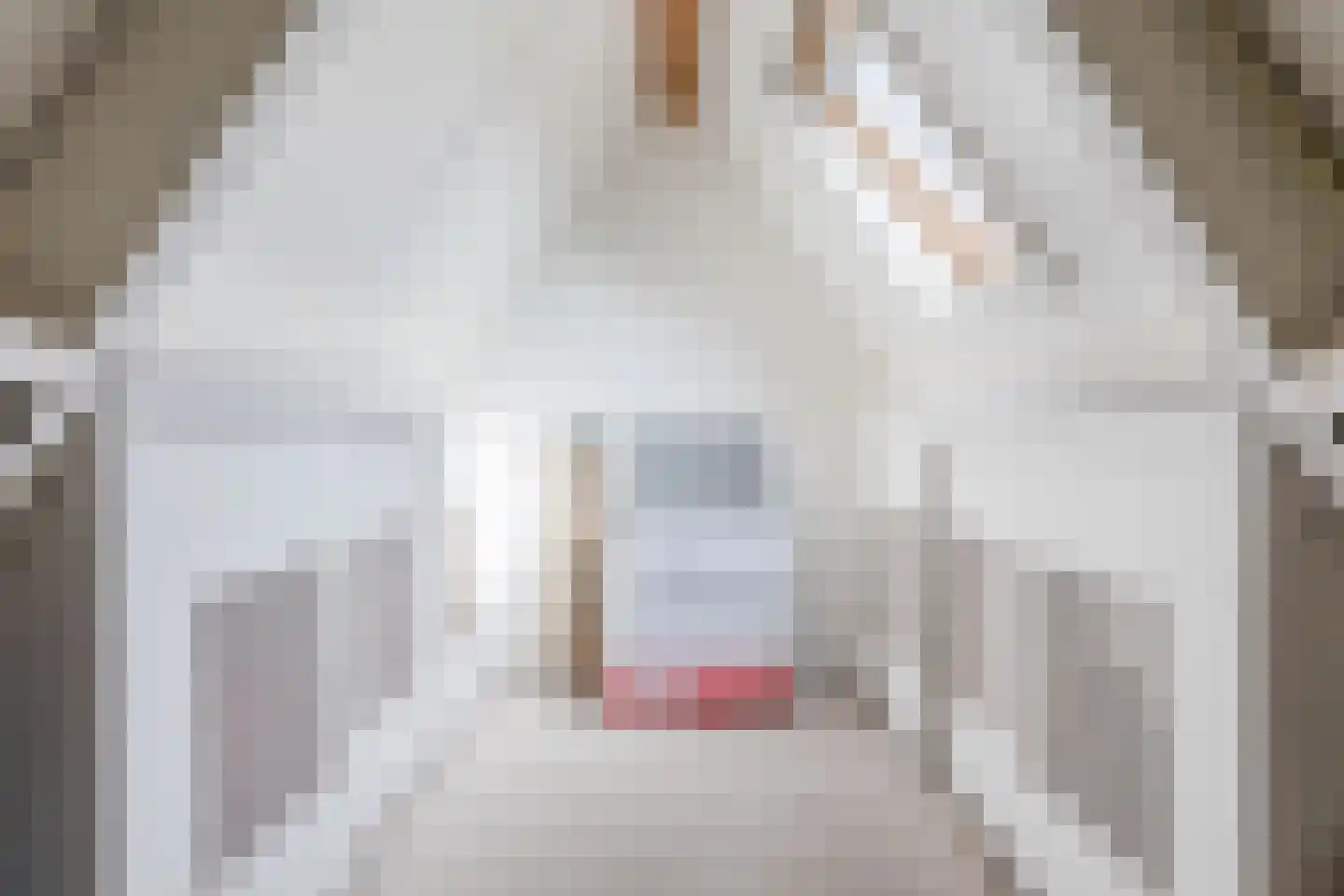 Beetwortelstraat 4 Stampersgat thumbnail 53