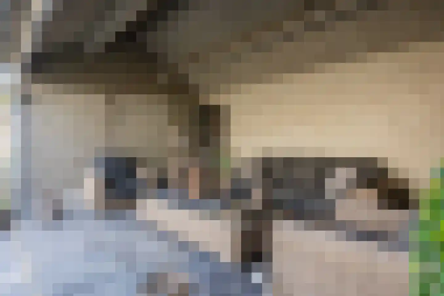 Beetwortelstraat 4 Stampersgat thumbnail 59