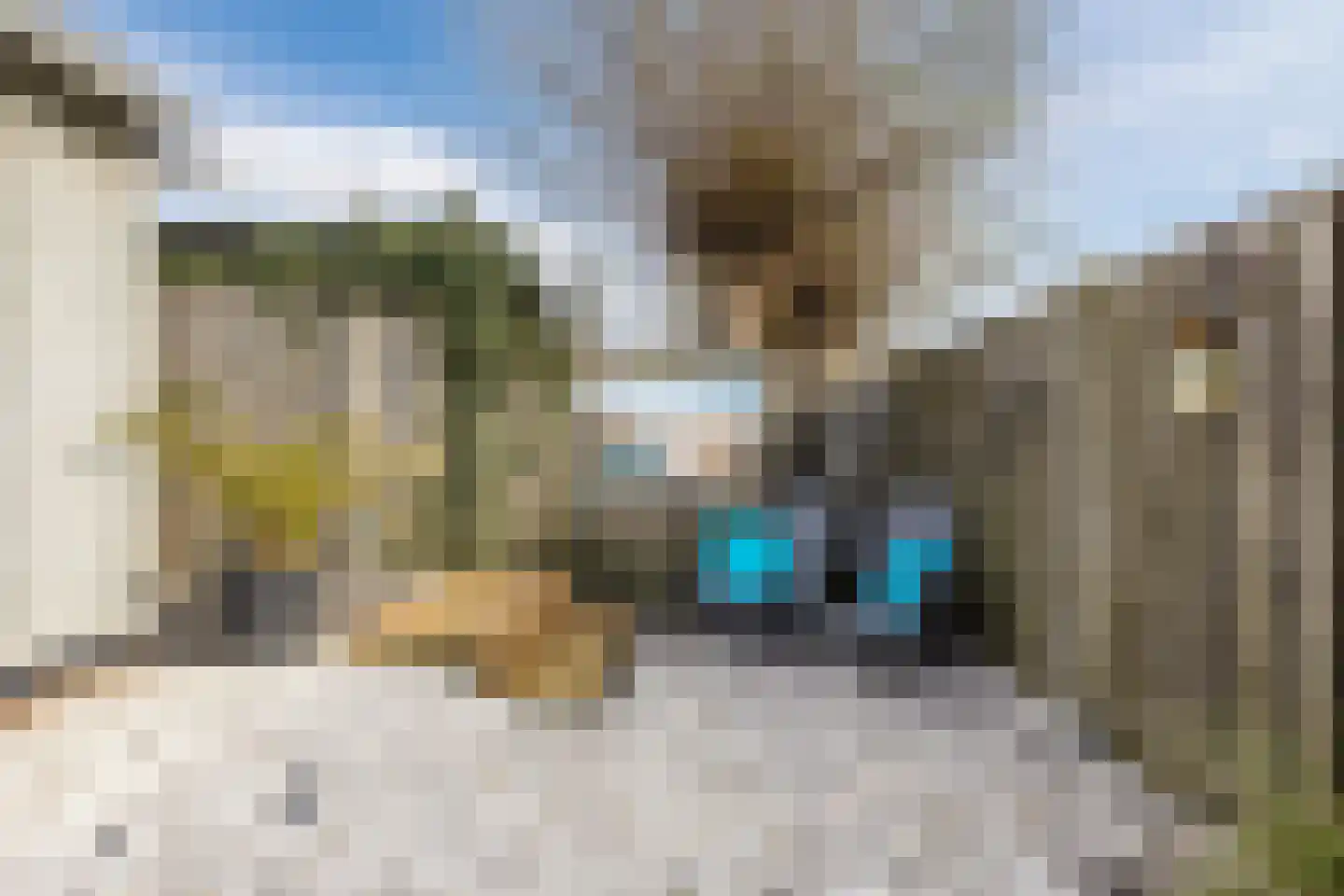 Beetwortelstraat 4 Stampersgat thumbnail 64