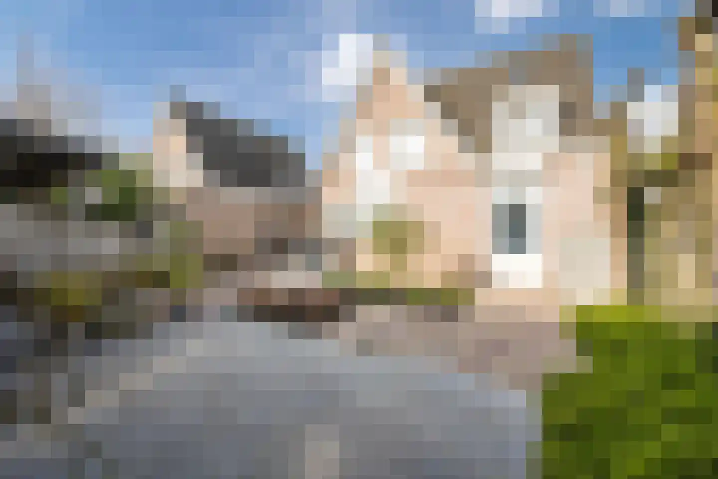 Beetwortelstraat 4 Stampersgat thumbnail 67