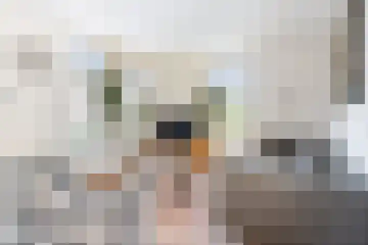 Beetwortelstraat 6 Stampersgat thumbnail 12