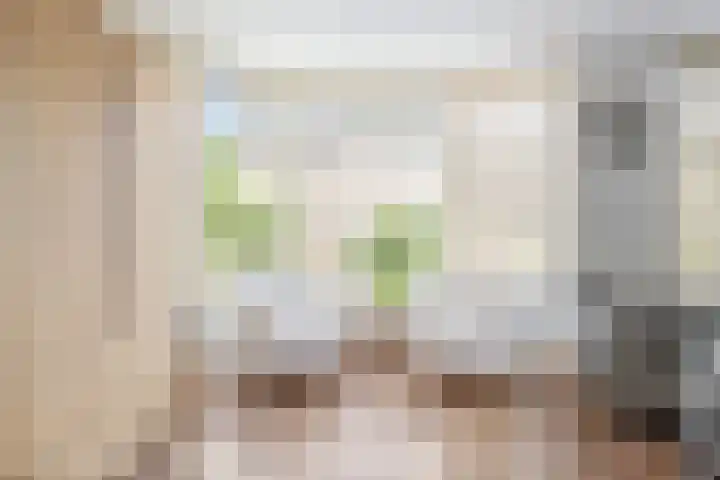 Beetwortelstraat 6 Stampersgat thumbnail 14