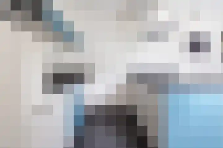 Beetwortelstraat 6 Stampersgat thumbnail 20