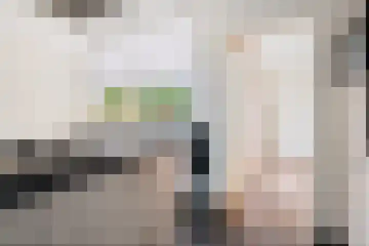 Beetwortelstraat 6 Stampersgat thumbnail 22