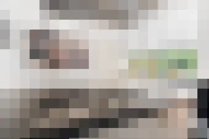 Beetwortelstraat 6 Stampersgat thumbnail 23