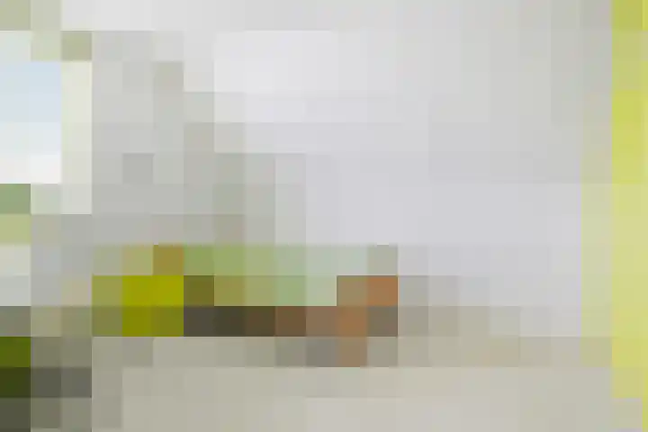 Beetwortelstraat 6 Stampersgat thumbnail 35