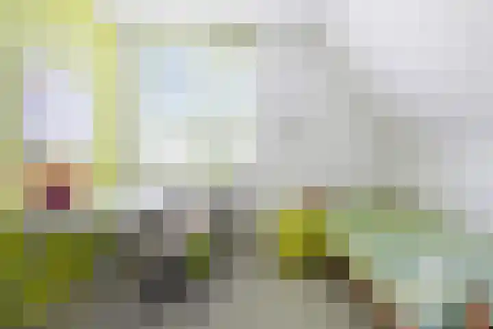 Beetwortelstraat 6 Stampersgat thumbnail 36