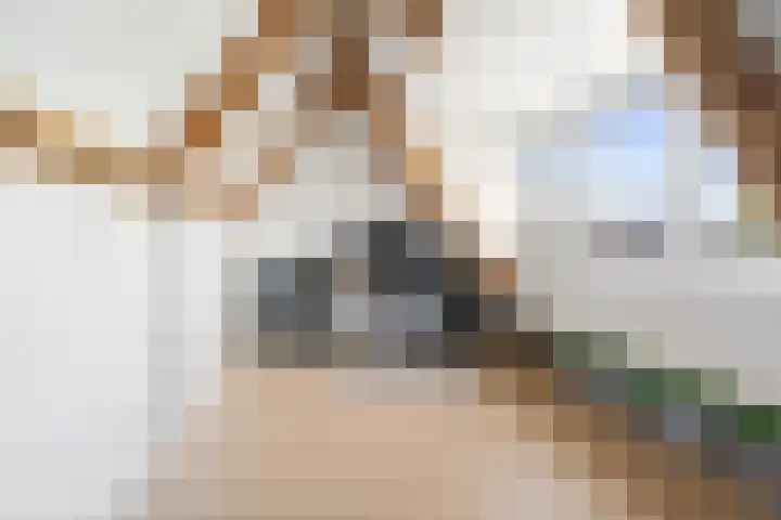 Beetwortelstraat 6 Stampersgat thumbnail 44