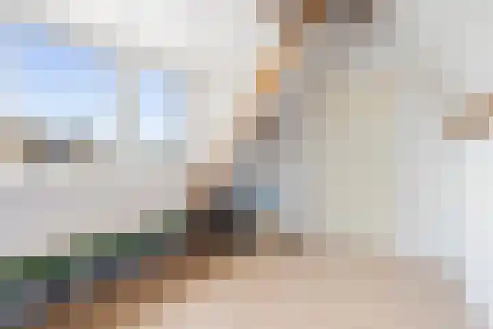 Beetwortelstraat 6 Stampersgat thumbnail 45