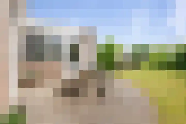 Beetwortelstraat 6 Stampersgat thumbnail 47