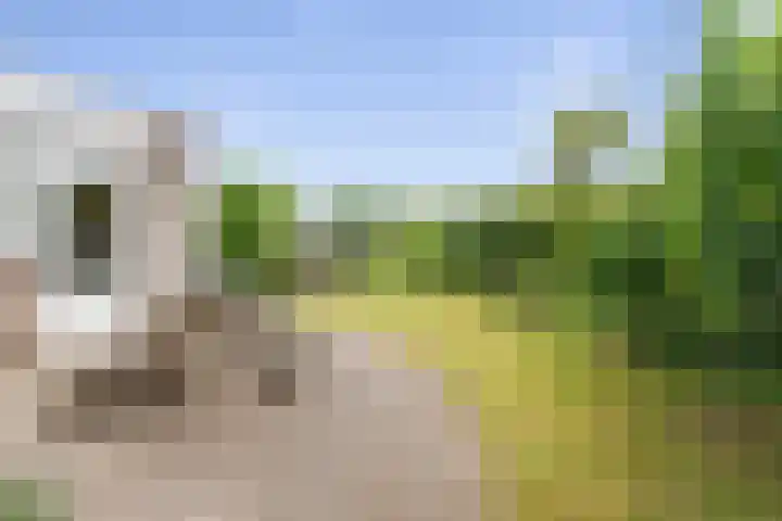 Beetwortelstraat 6 Stampersgat thumbnail 48