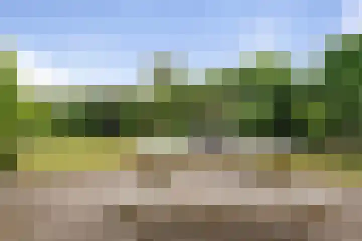 Beetwortelstraat 6 Stampersgat thumbnail 49
