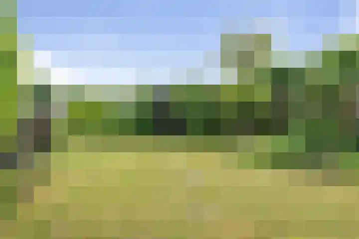 Beetwortelstraat 6 Stampersgat thumbnail 50