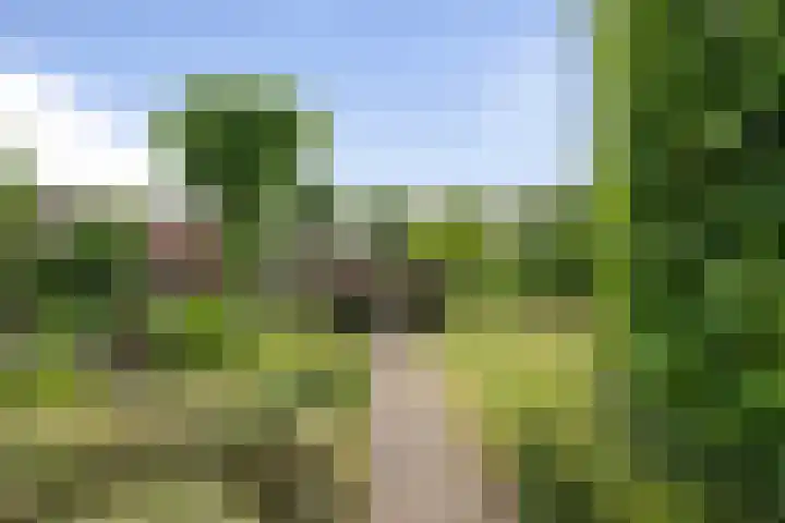 Beetwortelstraat 6 Stampersgat thumbnail 51