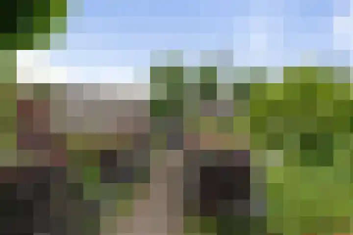 Beetwortelstraat 6 Stampersgat thumbnail 52