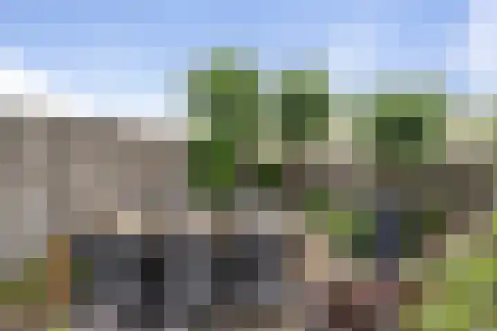 Beetwortelstraat 6 Stampersgat thumbnail 53