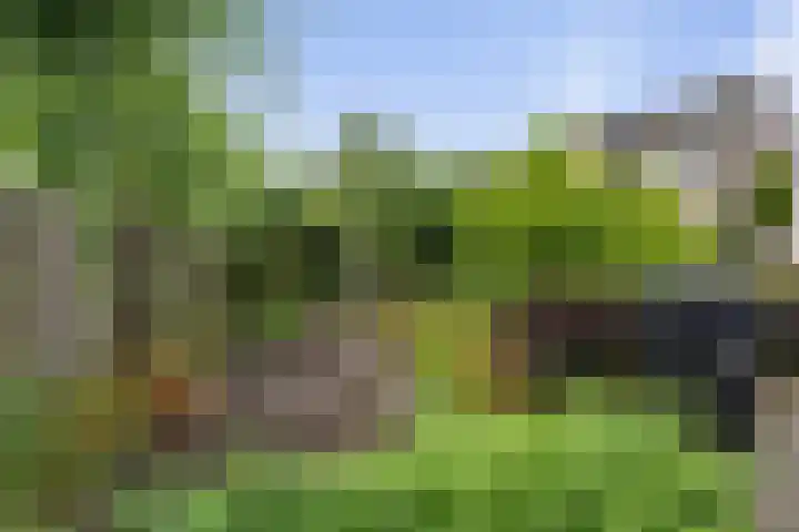 Beetwortelstraat 6 Stampersgat thumbnail 54