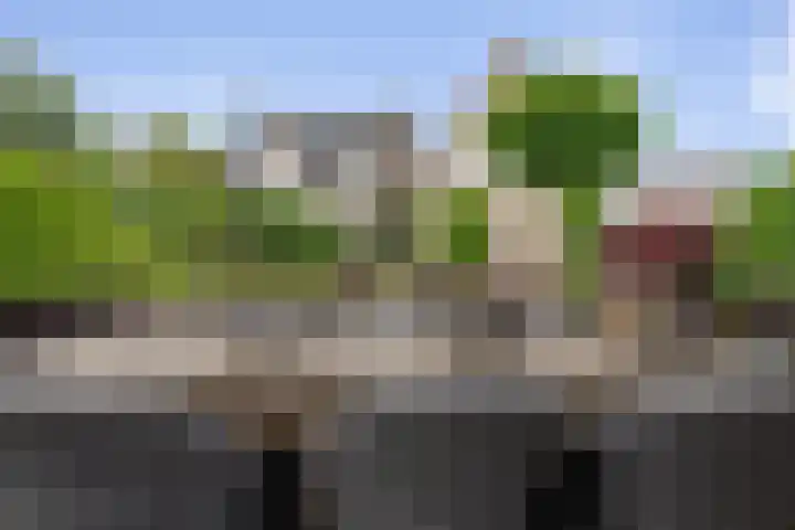 Beetwortelstraat 6 Stampersgat thumbnail 56
