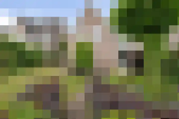 Beetwortelstraat 6 Stampersgat thumbnail 57