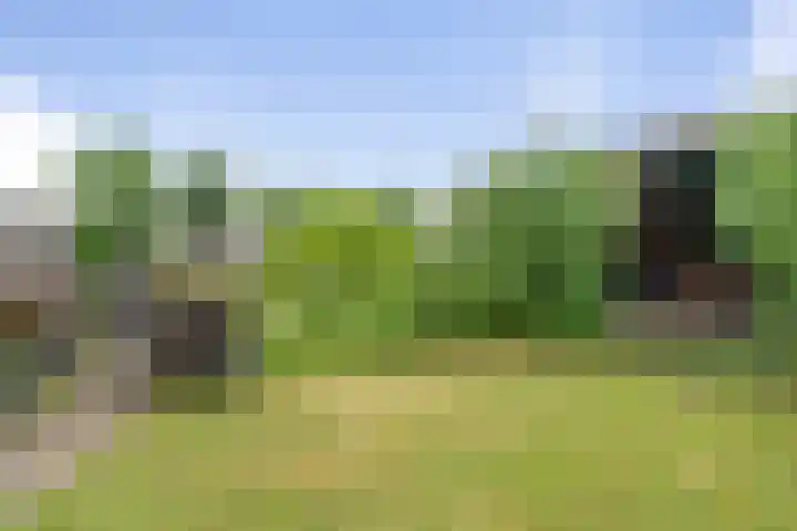 Beetwortelstraat 6 Stampersgat thumbnail 60
