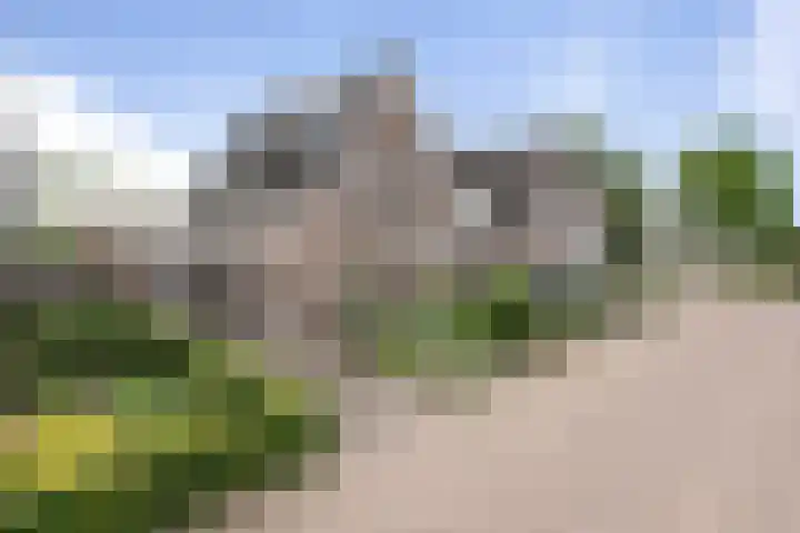 Beetwortelstraat 6 Stampersgat thumbnail 62