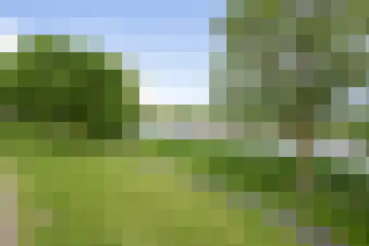 Beetwortelstraat 6 Stampersgat thumbnail 63