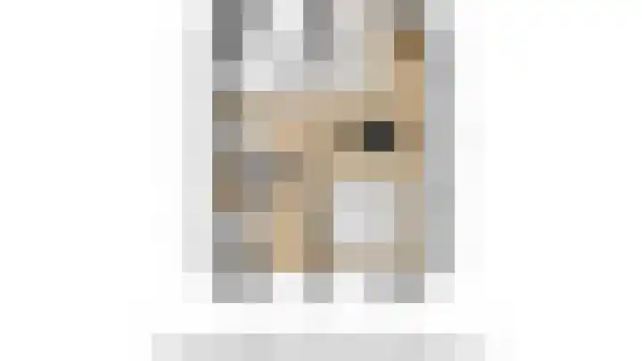 Beetwortelstraat 6 Stampersgat thumbnail 67