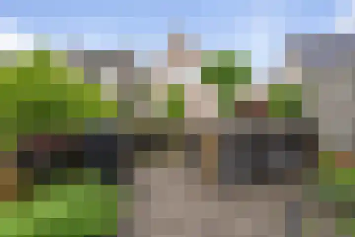 Beetwortelstraat 6 Stampersgat thumbnail 7