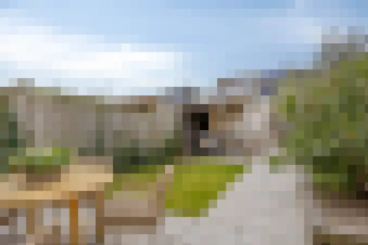 Beetwortelweg 3 Oud-Beijerland thumbnail 34