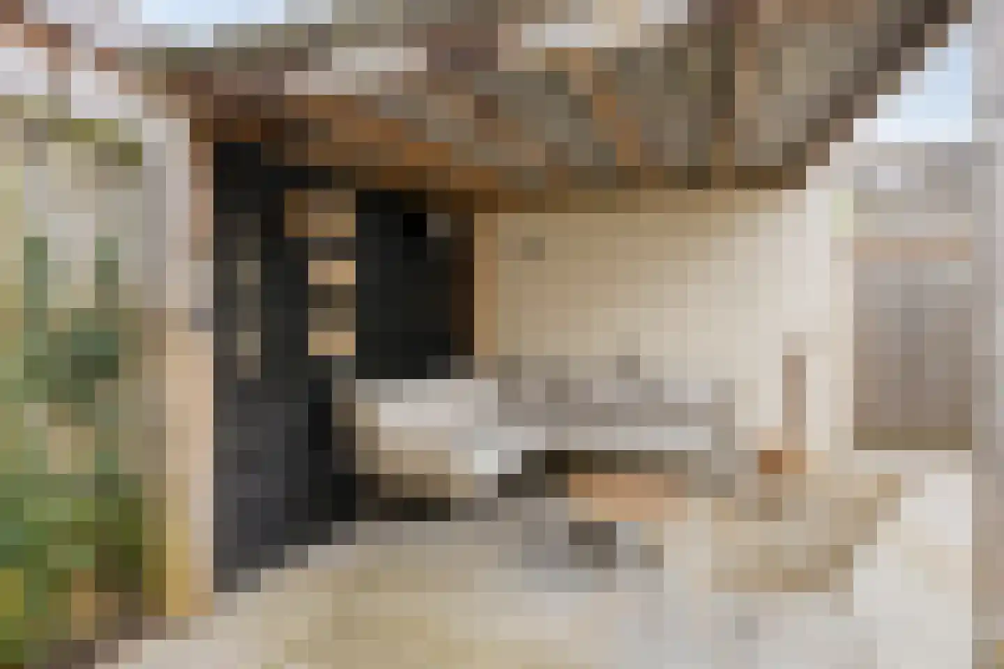 Beetwortelweg 3 Oud-Beijerland thumbnail 36