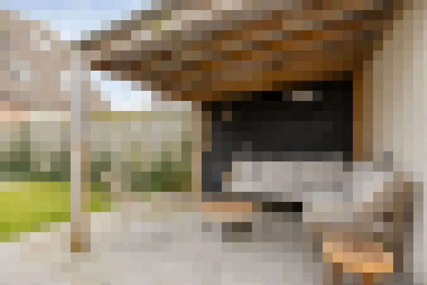 Beetwortelweg 3 Oud-Beijerland thumbnail 37