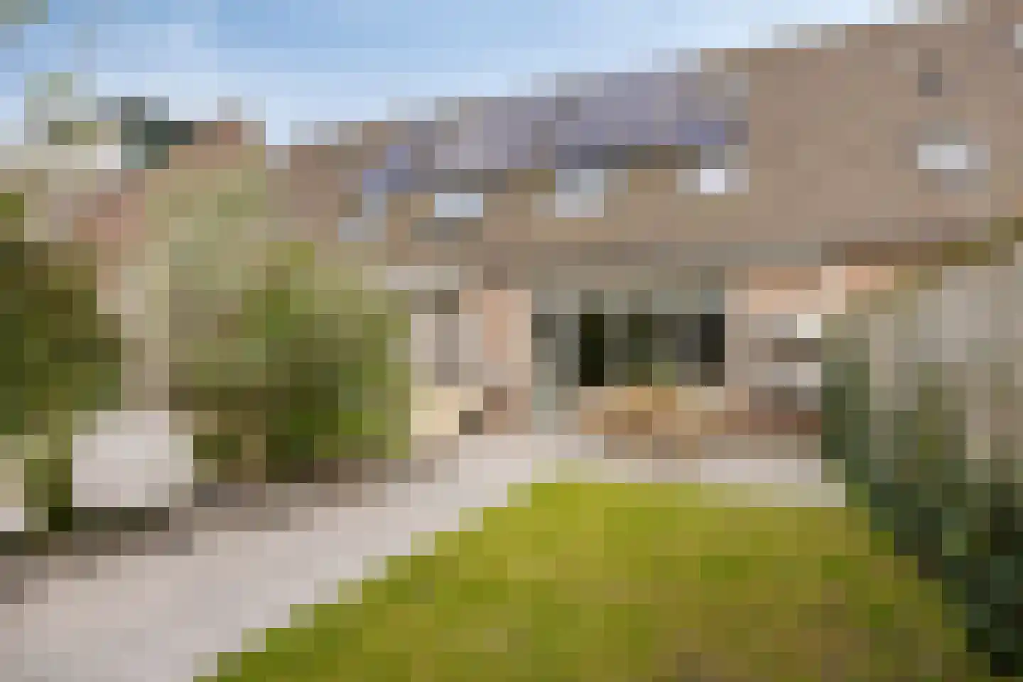 Beetwortelweg 3 Oud-Beijerland thumbnail 38