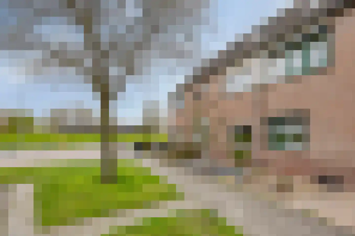 Beetwortelweg 3 Oud-Beijerland thumbnail 7