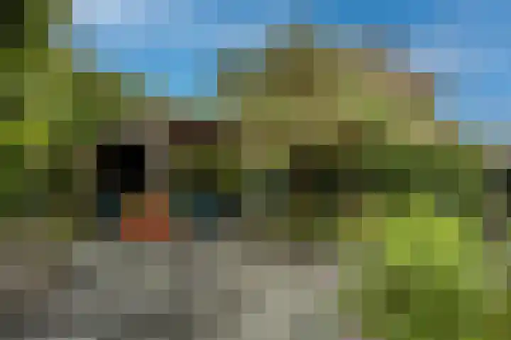 Beetwortelweg 63 Oud-Beijerland thumbnail 32