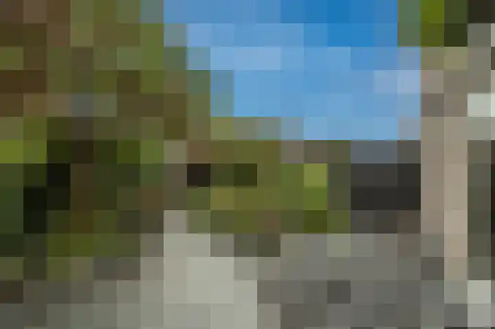 Beetwortelweg 63 Oud-Beijerland thumbnail 33