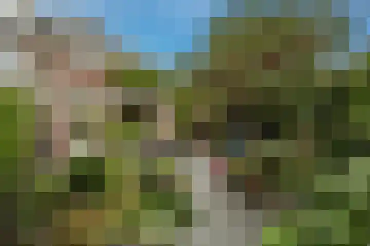 Beetwortelweg 63 Oud-Beijerland thumbnail 35