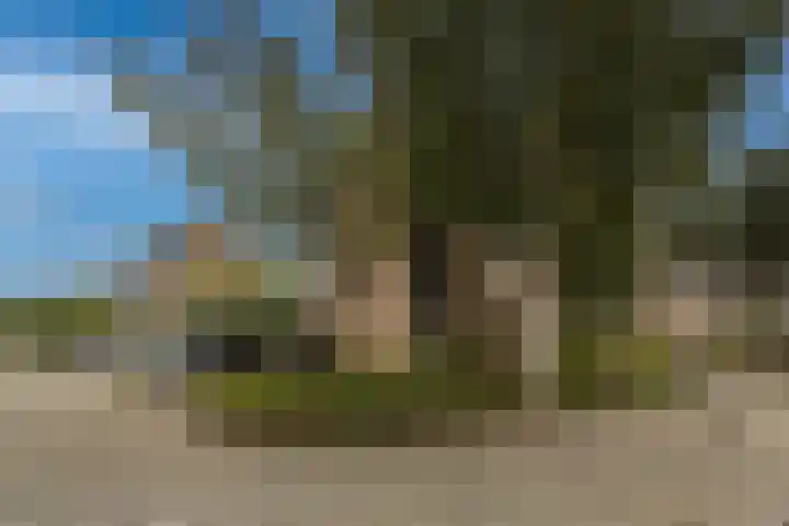 Beetwortelweg 63 Oud-Beijerland thumbnail 37