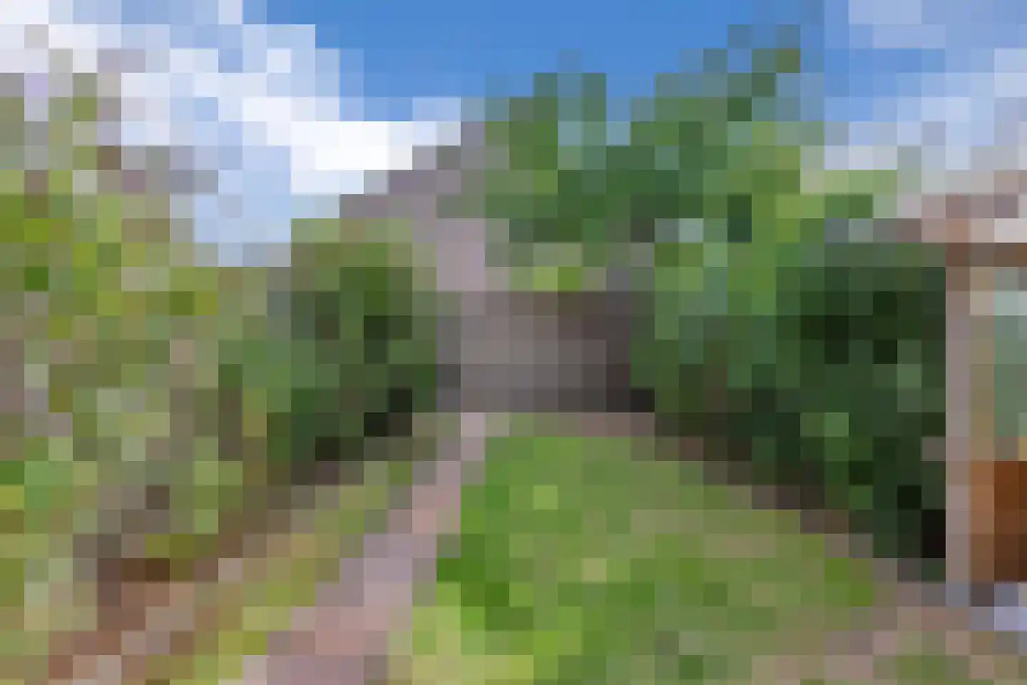 Beetwortelweg 77 Oud-Beijerland thumbnail 32