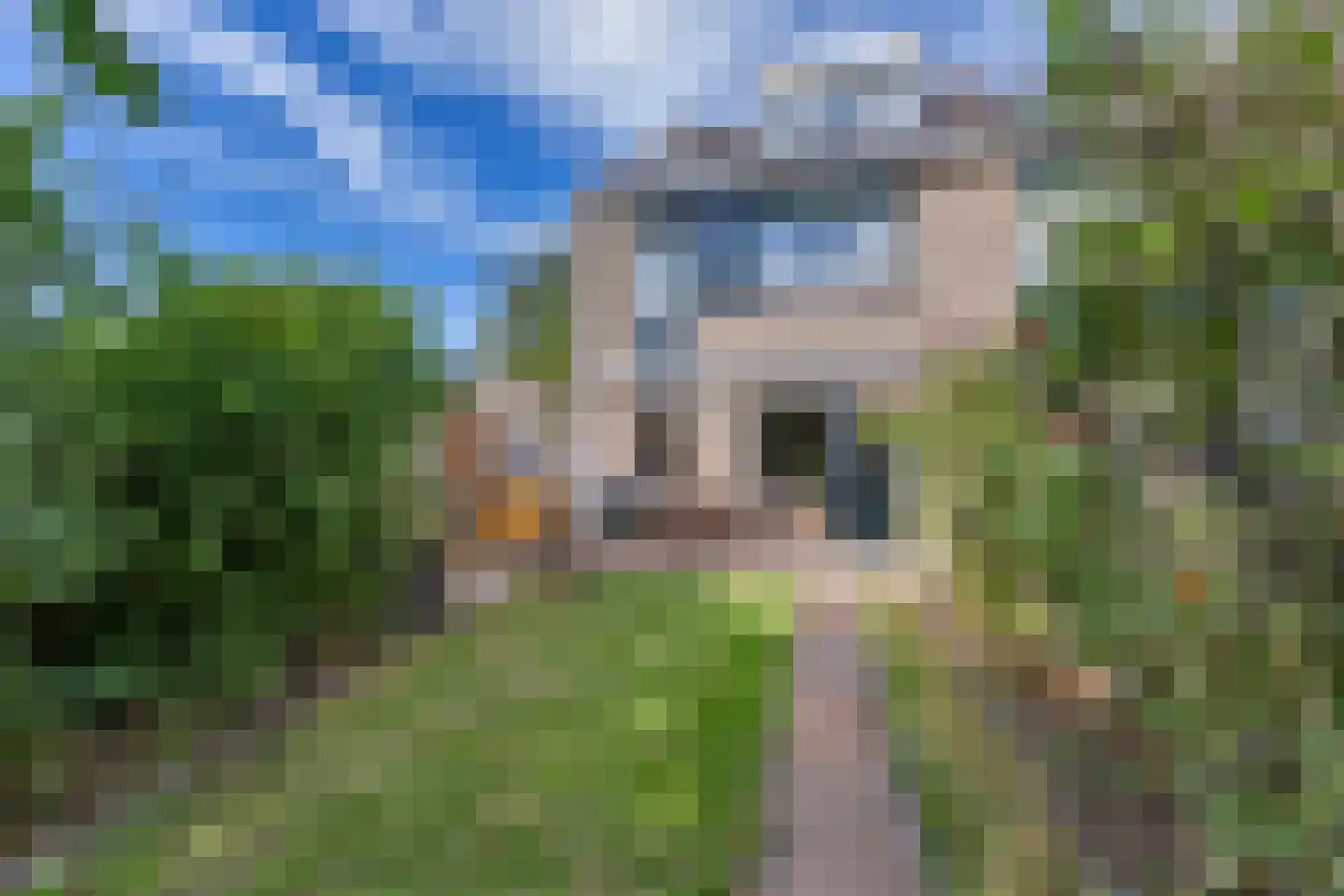 Beetwortelweg 77 Oud-Beijerland thumbnail 33