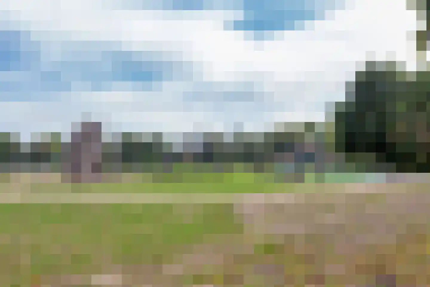 Beetwortelweg 77 Oud-Beijerland thumbnail 42
