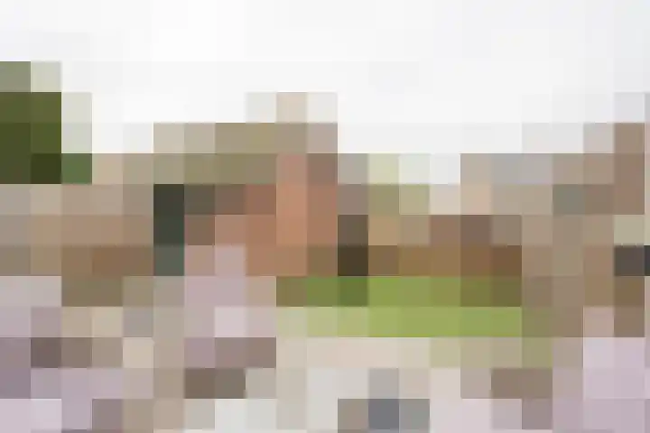 Beetzlaan 122 Soest thumbnail 24